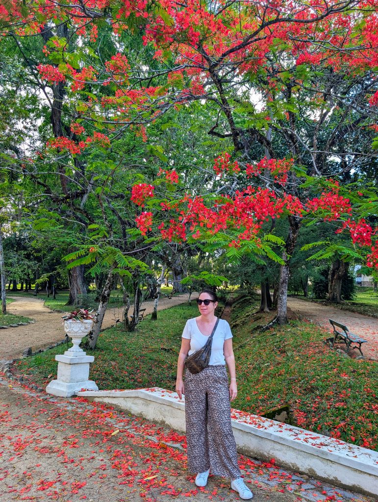 Jardin Botanique Rio de Janeiro