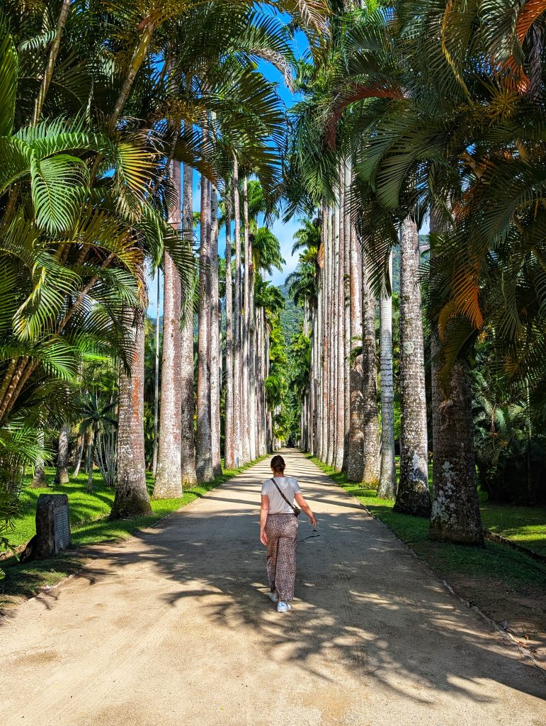 Jardin Botanique Rio de Janeiro, palmeraie royale