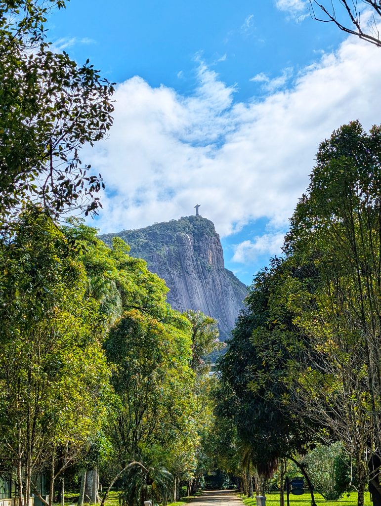 Jardin Botanique Rio de Janeiro, vue sur le Christ Redemteur