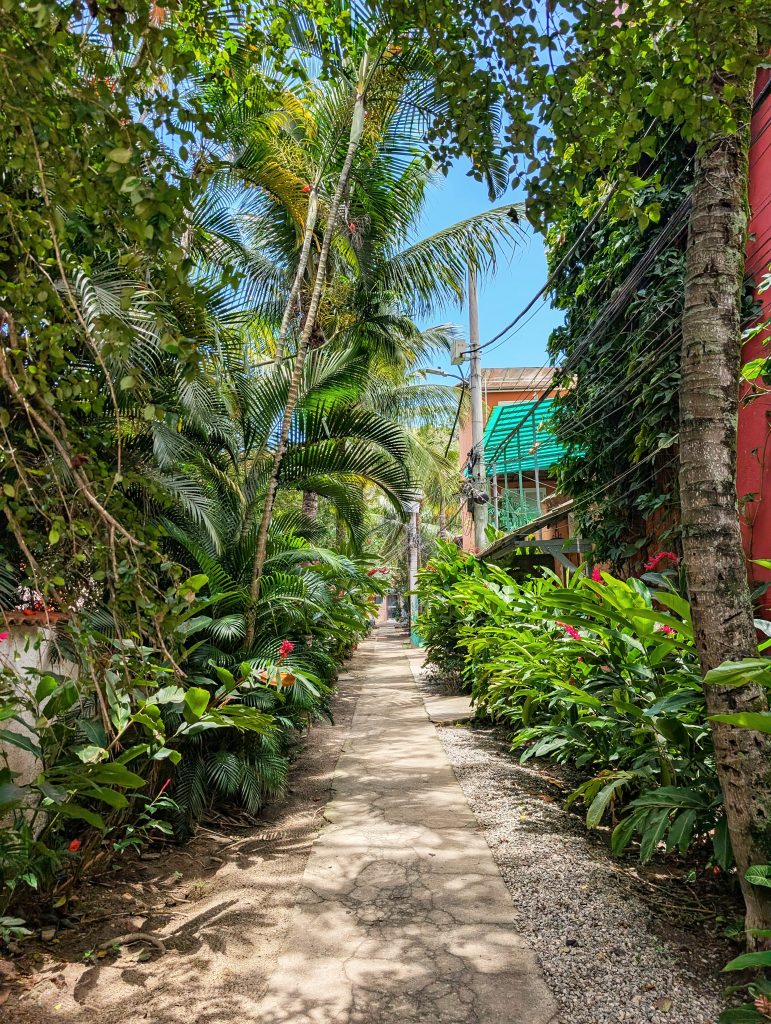 Ilha da Gigoia- Rio de Janeiro